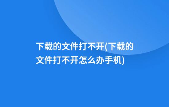 下载的文件打不开(下载的文件打不开怎么办手机)