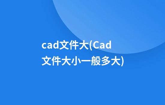 cad文件大(Cad文件大小一般多大)